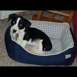 Meet your Posher, Renee